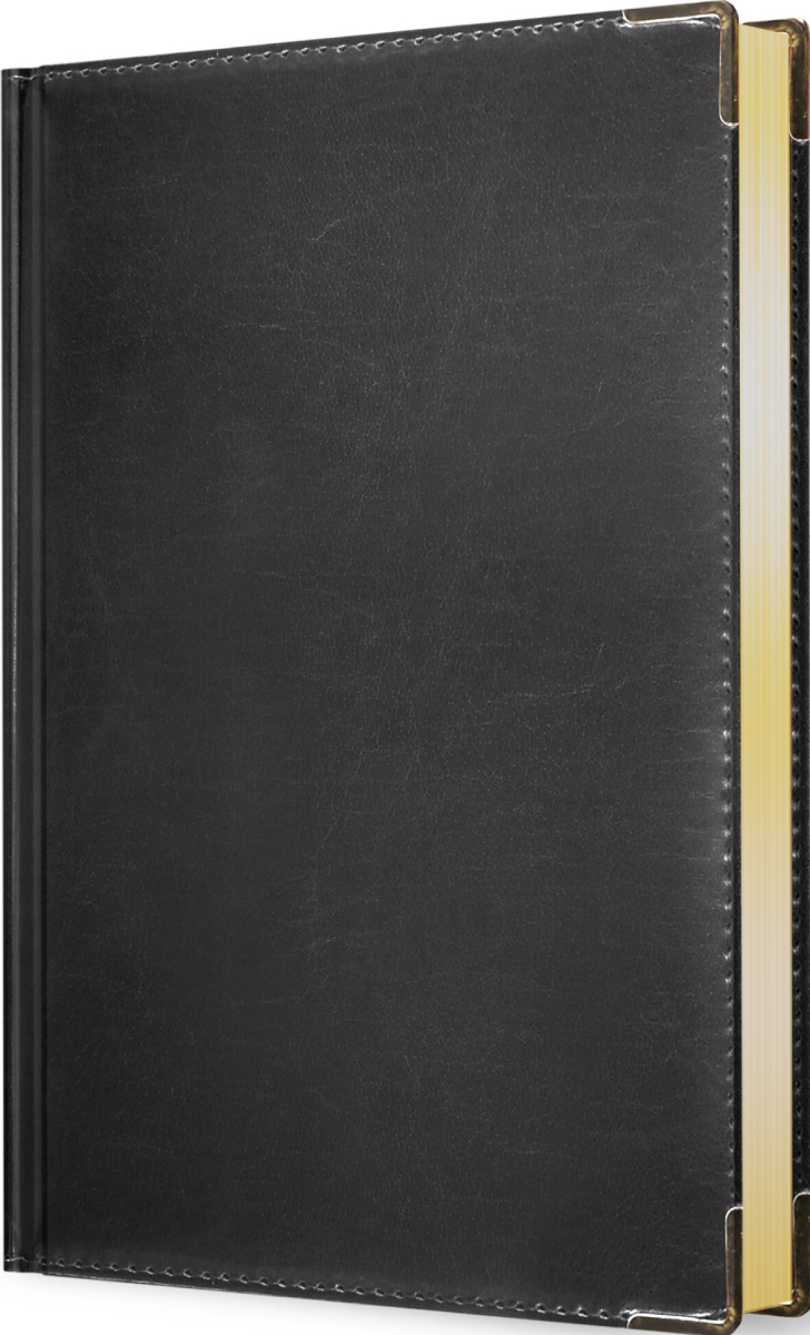 Ежедневник А5 датированный