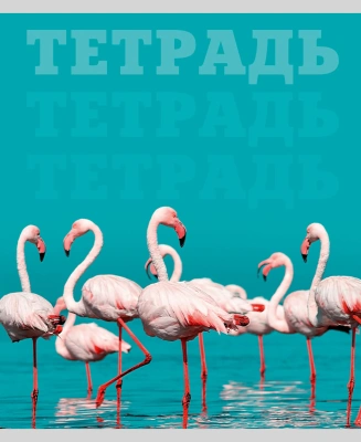 Тетрадь 80л, А5, клетка, скрепка, в мире животных, Эксмо