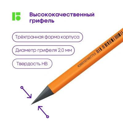 KALAM.KZ - Карандаш простой HB, пластик, "Flexy Neon" Berlingo