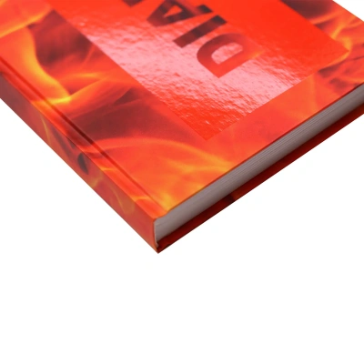 Ежедневник А5, полудатированный, 192л, тв. переплет, офисный стиль, огонь  Эксмо