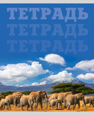 Тетрадь 80л, А5, клетка, скрепка, в мире животных, Эксмо