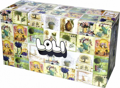 Салфетки в коробке 120шт.Loli MAXI