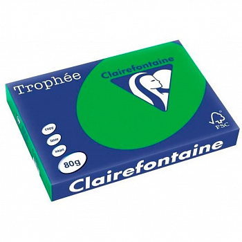 Бумага цветная "Trophee" А4, 80гр., 500л., intensive green (интенсив зеленый)