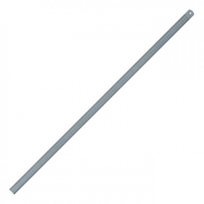 SG100.jpg