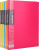 KALAM.KZ - Папка с файлами, 20 файлов, A4, 35.5х24 см,.0.75мм, пластик ассорти DELI "Rio" купить KALAM.KZ - Папка с файлами, 20 файлов, A4, 35.5х24 см,.0.75мм, пластик ассорти DELI "Rio"