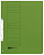 KALAM.KZ - Скоросшиватель картонный A4, 250гр, зеленый Hamelin