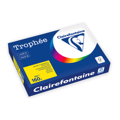 Бумага цветная "Trophee" А4, 160гр., 250л., intensive sunflower (солнечный желтый)