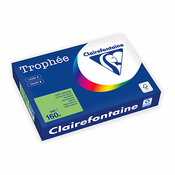 Бумага цветная "Trophee" А4, 160гр., 250л., intensive green (зеленый)