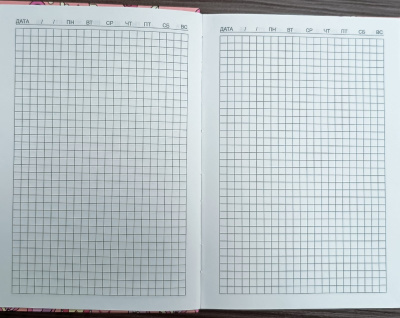 Блокнот 96л, А5, клетка, интегральная обложка, "Мерген"