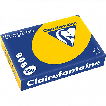 Бумага цветная "Trophee" А4, 80гр., 500л., intensive sunflower (солнечный желтый)