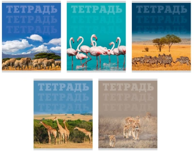 Тетрадь 80л, А5, клетка, скрепка, в мире животных, Эксмо