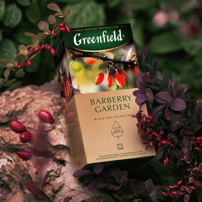 KALAM.KZ - Чай черный, 25 пакетиков Greenfield Barberry Garden, ( 1,5х25х10)  black tea купить KALAM.KZ - Чай черный, 25 пакетиков Greenfield Barberry Garden, ( 1,5х25х10)  black tea