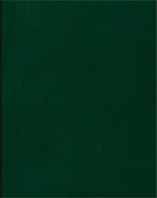 Тетрадь 80л, А4, клетка, скрепка, бумвинил, обл. зеленая BG Тетрадь 80л, А4, клетка, скрепка, бумвинил, обл. зеленая BG